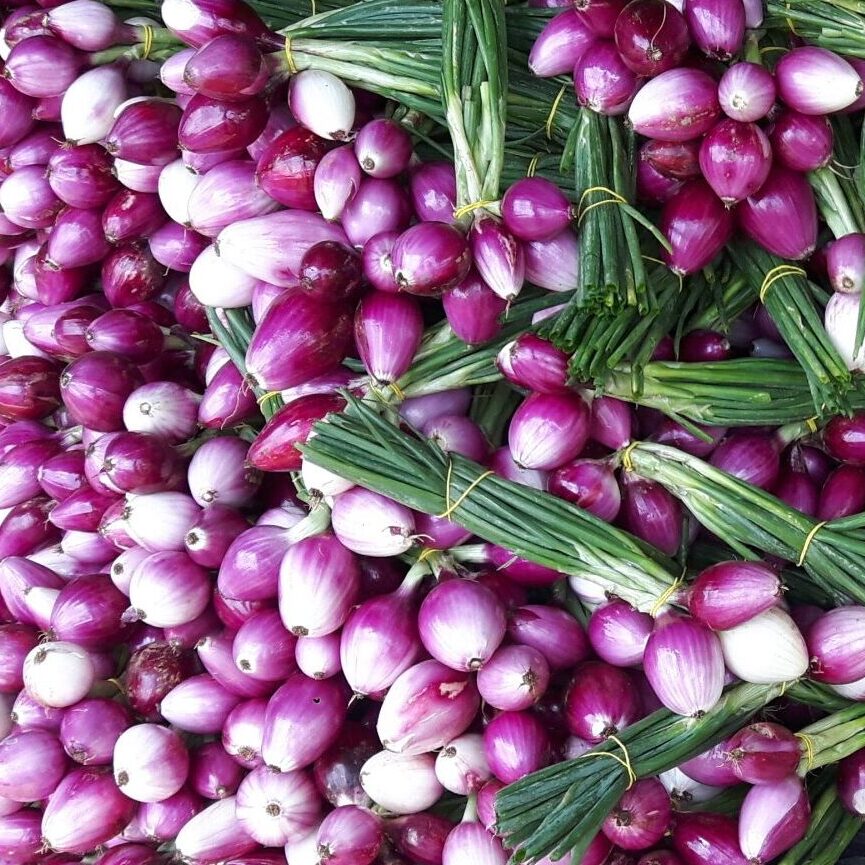Cipollette Fresche in mazzetti da 500 gr