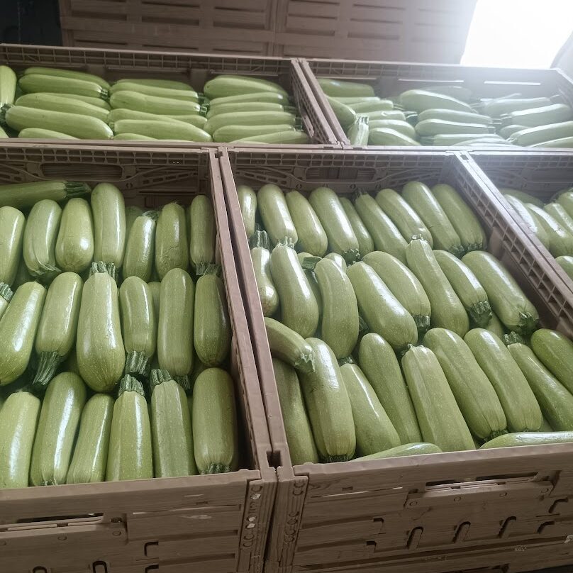 Zucchine